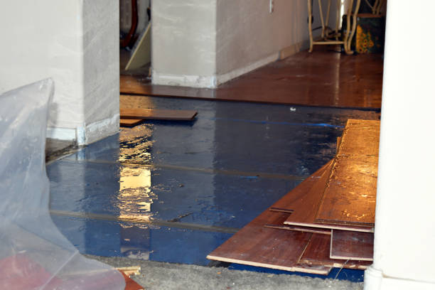 Professional Sewage Cleanup technician working in Troup, TX